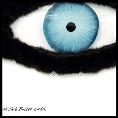 No safe bullet catch