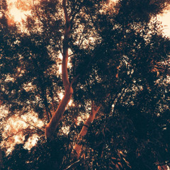 Ollane - First Letter