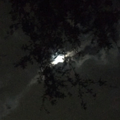 the light from the moon