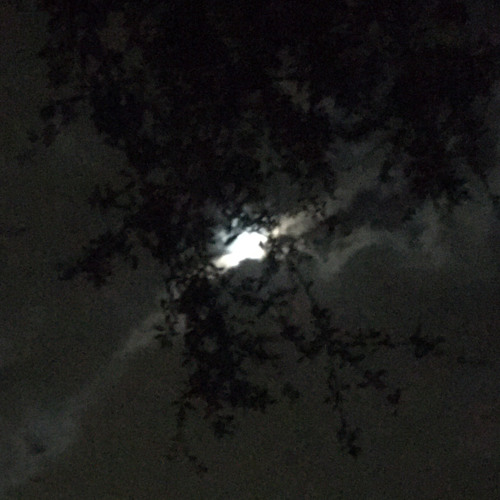 the light from the moon