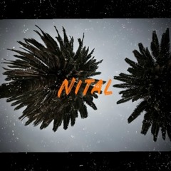 Nital