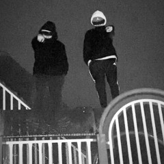 Sesh😮‍💨🚶‍♂️💯