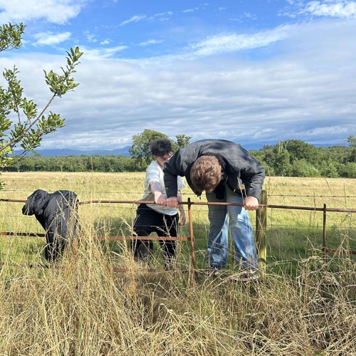 no apology feat. Yung Robz (prod. SpireLeaf)