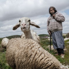 يرغول فلسطيني
