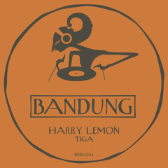 Harry Lemon - Tiga (Harry's Lemon8 Mix)