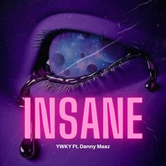 IWKY Ft. Danny Maaz - Insane