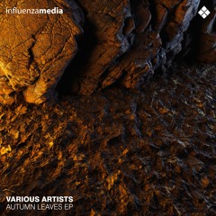 01 Sonic Art & Nichenka Zoryana - Dance Of Lights (Geety Remix)