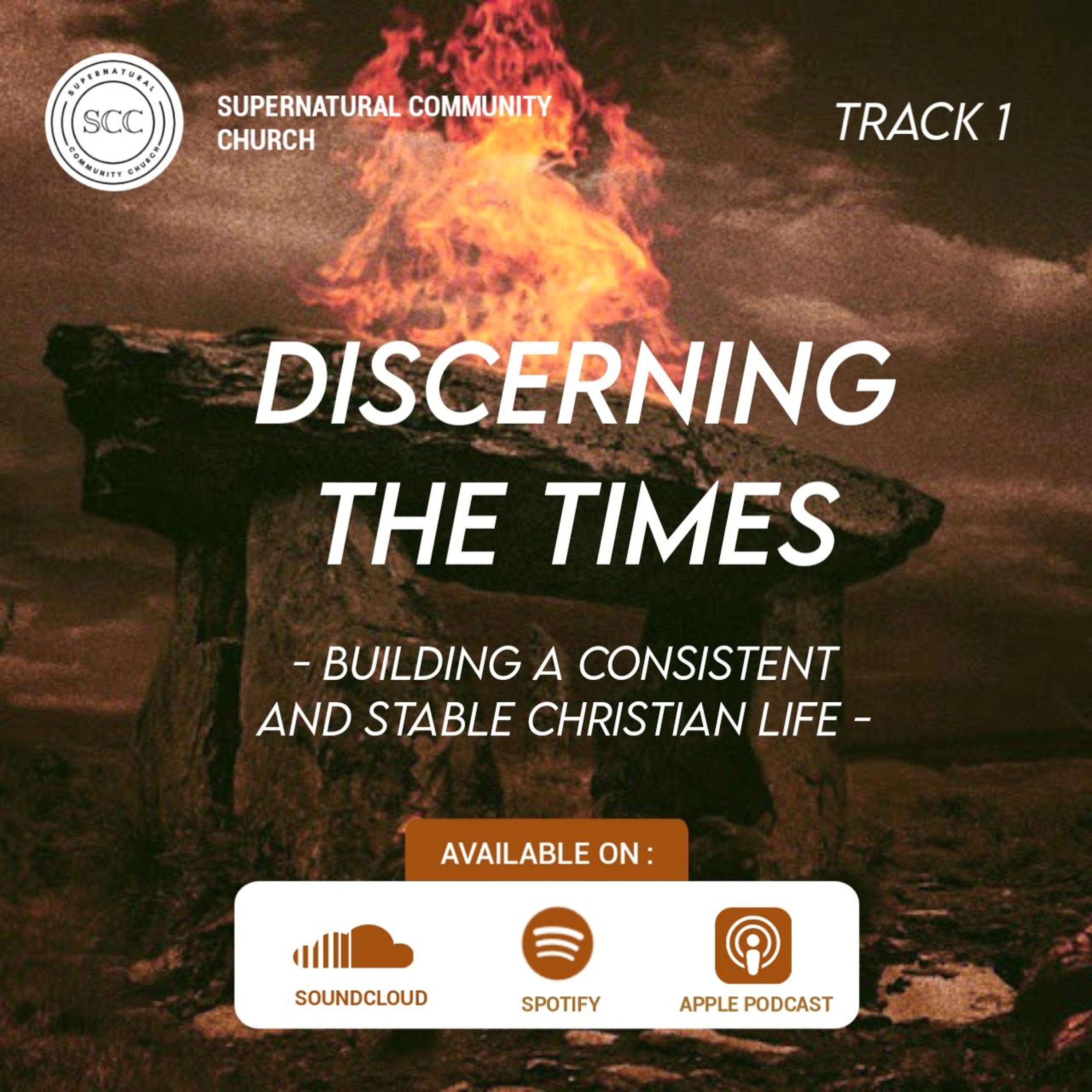 Discerning The Times (1)