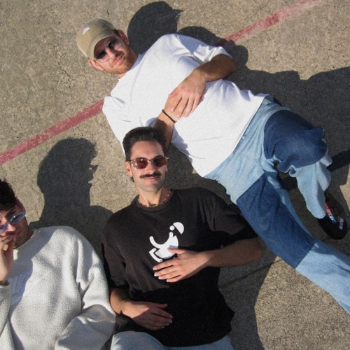 PREMIERE : Not Without Friends - Other Halves