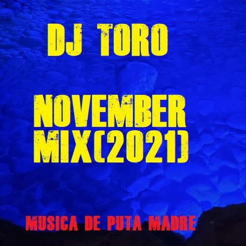 DJ TORO - NOVEMBER MIX (2021)