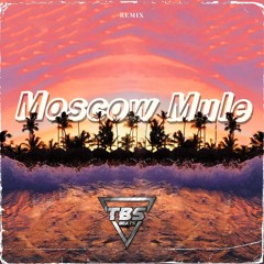 TBS Beats Audio Killers  - Bad Bunny x Moscow Mule (Remix)
