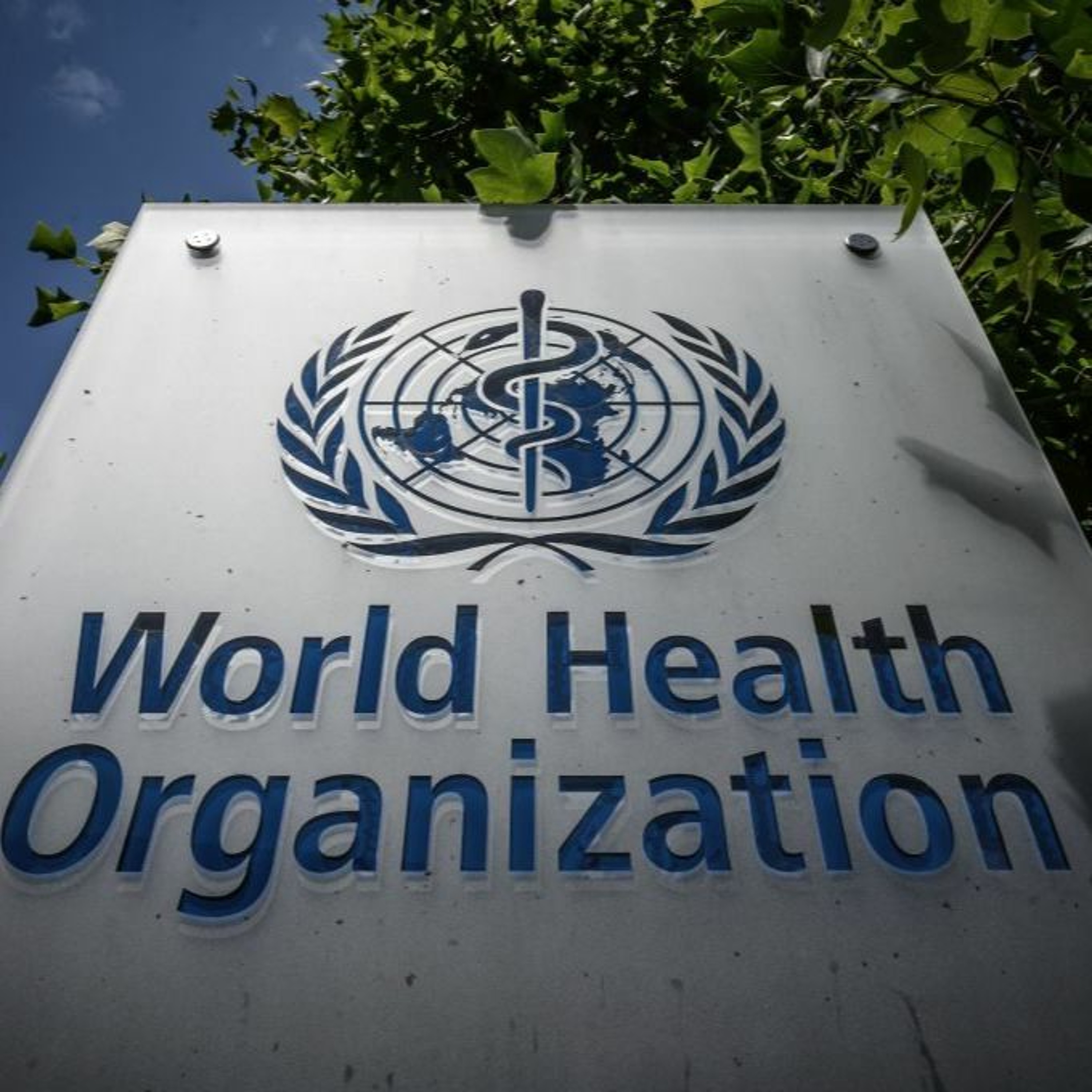 The World Health Organization and SA episode artwork