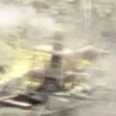 ワイズマン博士