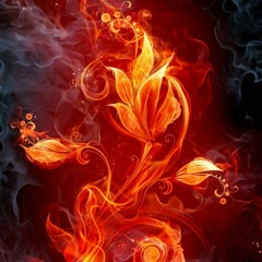 Healing Fyah