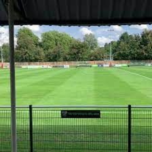 the greyhound hidden version