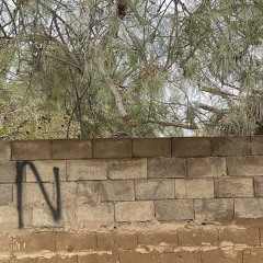 ودّعتني قبل السلام .. البدر