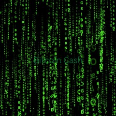 Bitcoin Cash