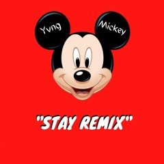 STAY Ft. Justin Bieber (Mickey Remix)