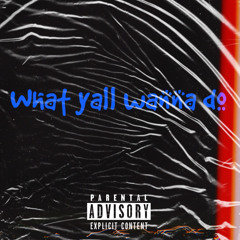 lil’ j’a - what y’all wanna do (audio)