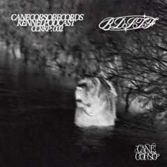 CCRKP 002 : BDSTF