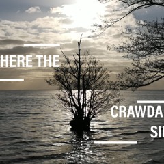 Where the Crawdads Sing (Carolina Nights)