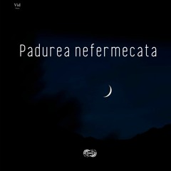 Vid - Padurea Nefermecata(snippet)