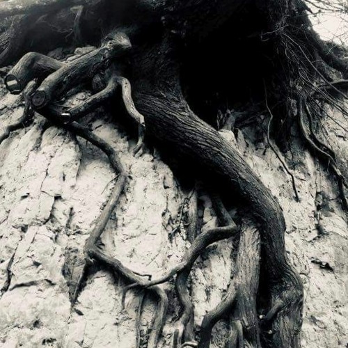 Jacek Ql@FeedYourSoul#3 16.10.2021 / Vinyl Set