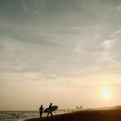 Ocean In The Palm / Moshimoss