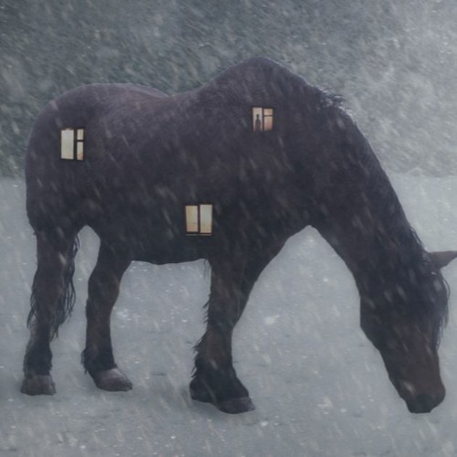 If I were a house : by JodyBoots : read by @megwaf