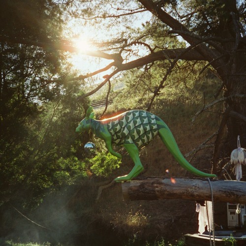 Desert Prince @ Psychedelic Bush Disco 2024