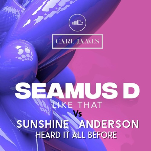 Seamus D  Vs Sunshine Anderson - Heard It All Before Like That (DJ Carl James Mashup)