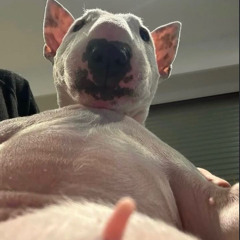 MTG - VAI SENTAR NO PORTE - MC MR BIM - MC RD - MC WOSTIN (LANÇAMENTO 2026)