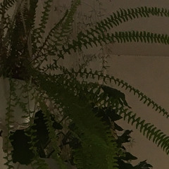 todos estos extraños me parecen tan lindos