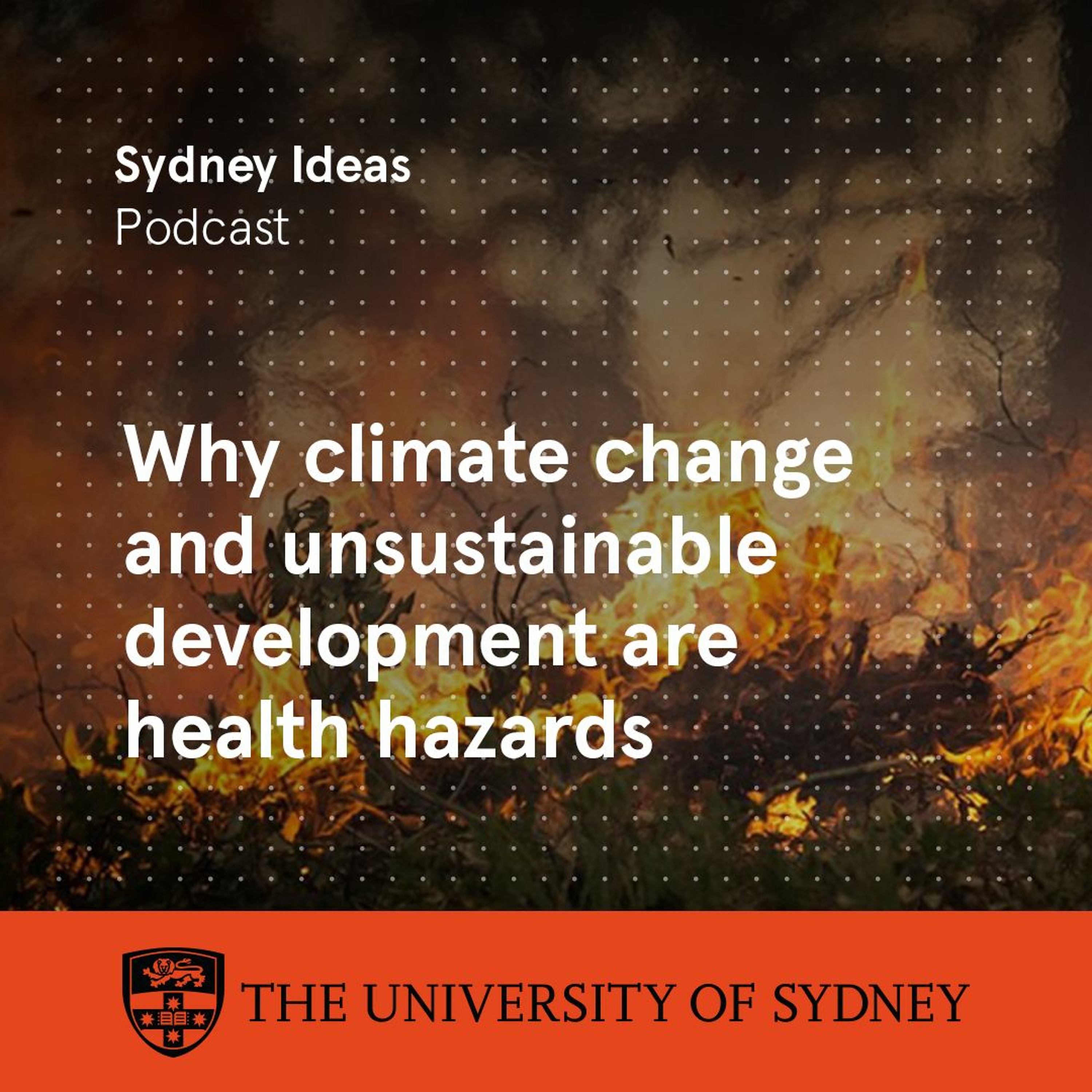 cover of episode Why climate change and unsustainable development are health hazards