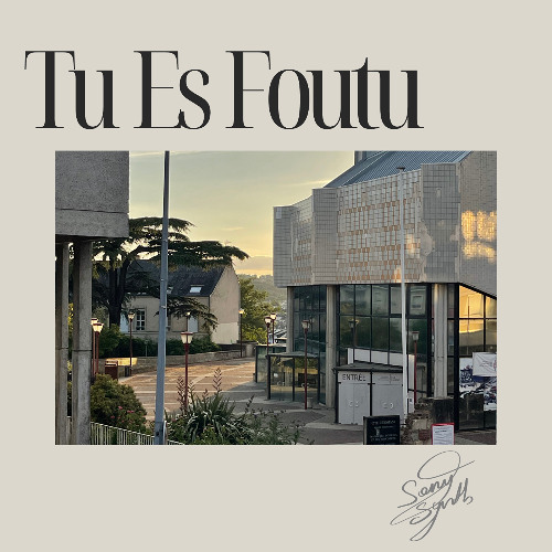 Sony Synth - Tu Es Foutu [FREE DOWNLOAD]