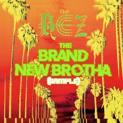 The Brand New Brotha(sample)