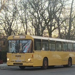 Gagamel