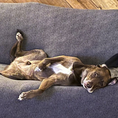 Wasted (A Bass heavy UKG mix)