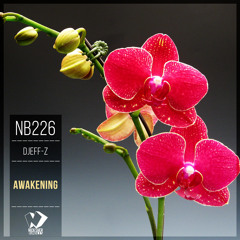 Djeff-Z - Awakening (Original Mix)