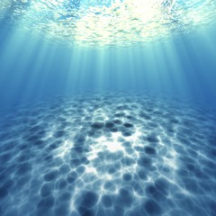 Tranquil Depths
