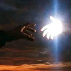 113 2