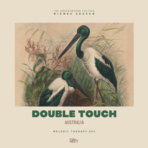Double Touch @ Melodic Therapy #093 - Australia