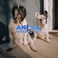 Miike Snow - Animal (MAXIMO Tech House Edit)