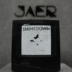 Shinedown - Second Chance (JAER Bootleg)