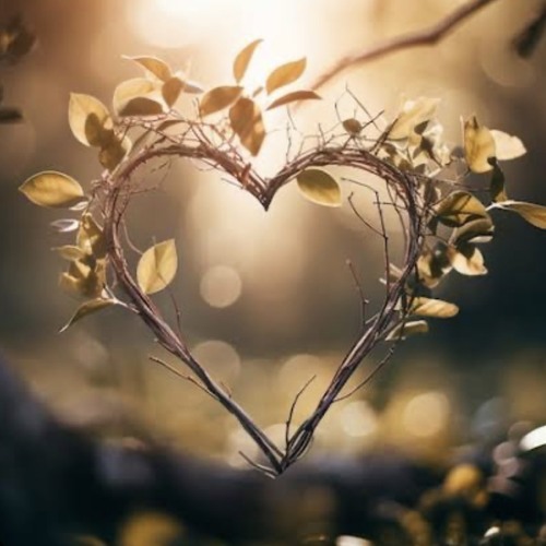 Deepest Desire - My Heart (Just Coffee)