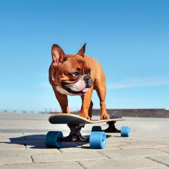 Roots Library (Part 3), 115 BPM/WAV