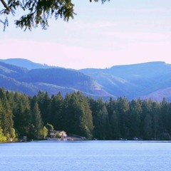 Home - Daughtry (acoustic)