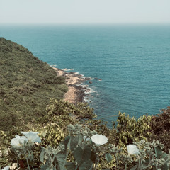 ZIET MIT - NgKhanhQuoc