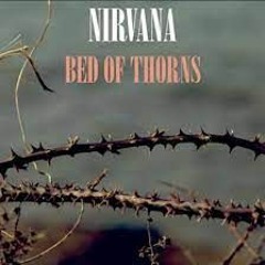 Nirvana - Bed of Thorns (nebo7 rework 2023)