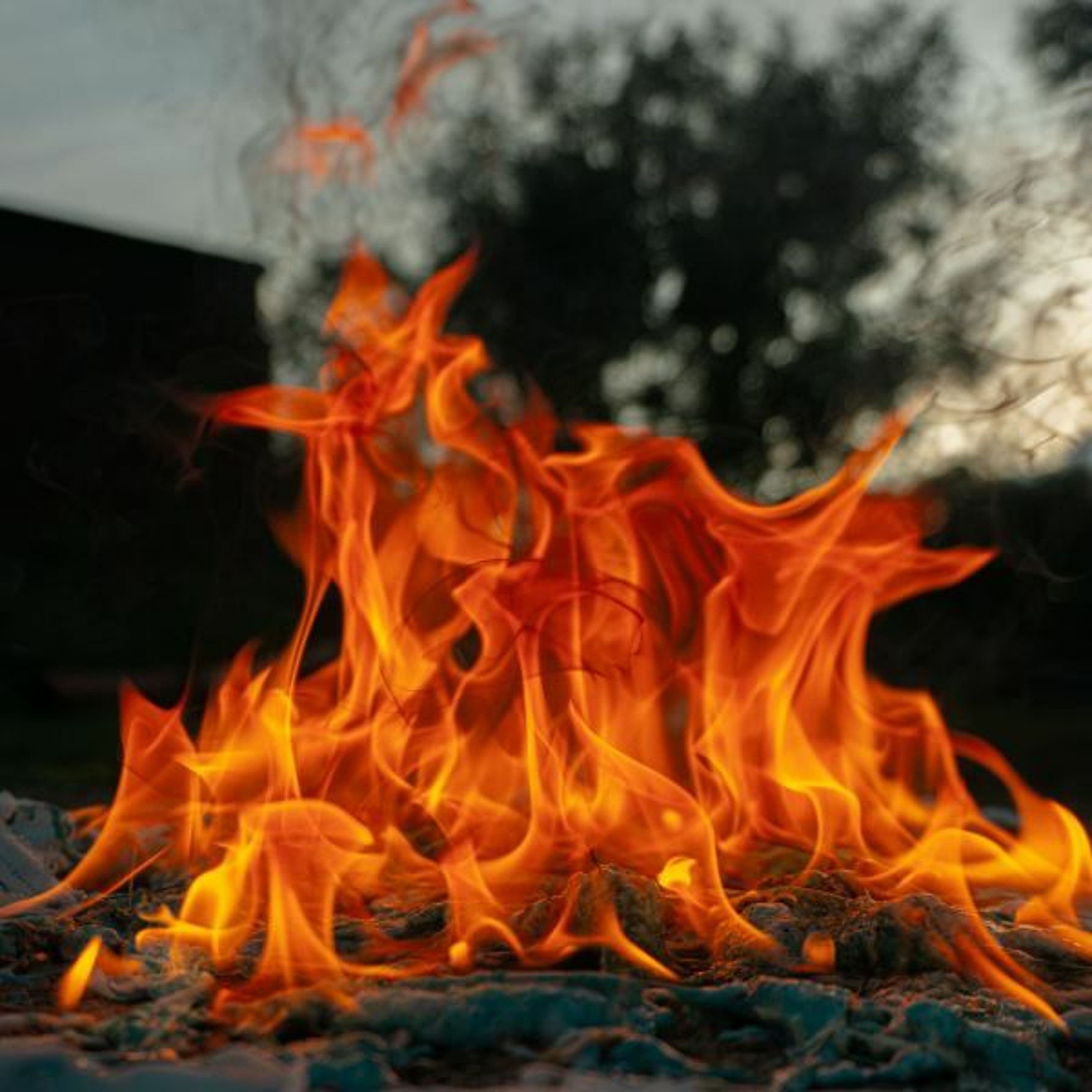 Transfiguration - Light Revival Fires episode artwork